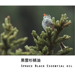 【muco】 黑雲杉精油 Spruce Black Essential oil