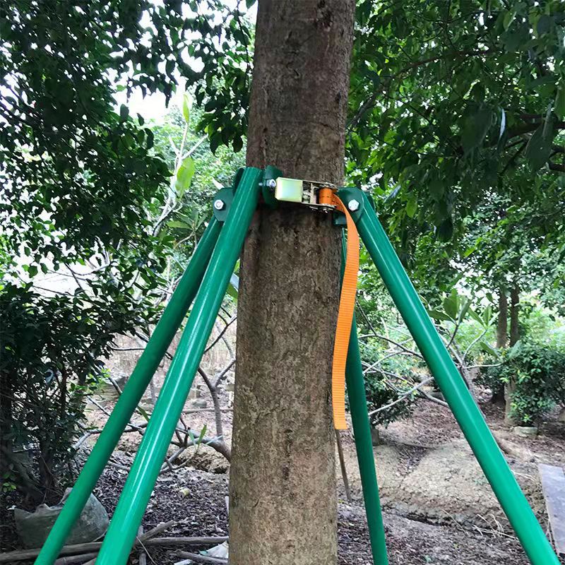 【Cute蒂咔朵*】樹木支撐架 大樹支撐桿 緊帶式防風支架園林綠化鋼管支撐