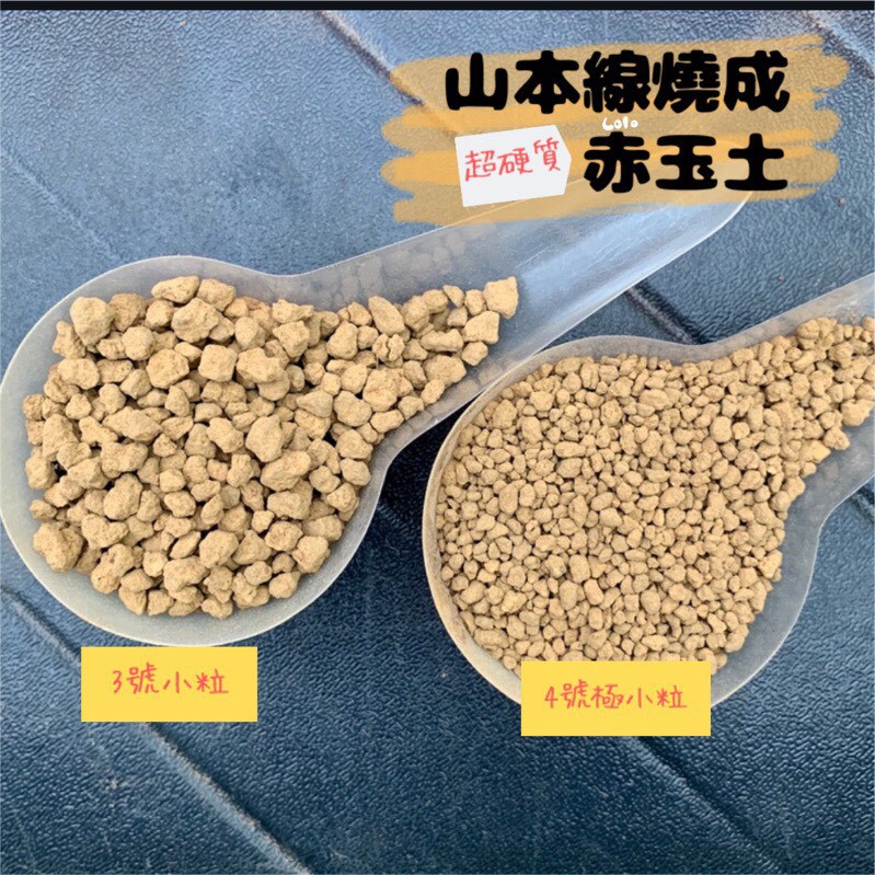 Lolo 多肉專用土 專用介質 新配方 1 1kg 奧綠肥692 50g分裝包 荷蘭陶粒 三本縣赤玉土分裝包 蝦皮購物
