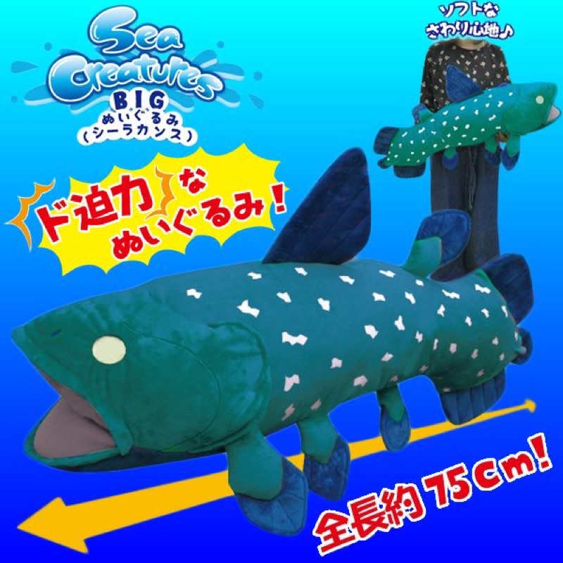 腔棘魚 日本限定 古代魚 活化石 祖先 景品 Sea creatures 娃娃 海生動物 玩偶 仿真魚 收藏 禮物 畢業