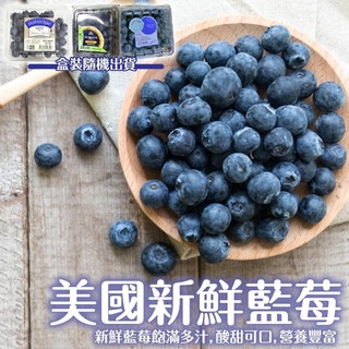 美國進口新鮮藍莓(每盒125g±10%) 0運費【果之蔬】