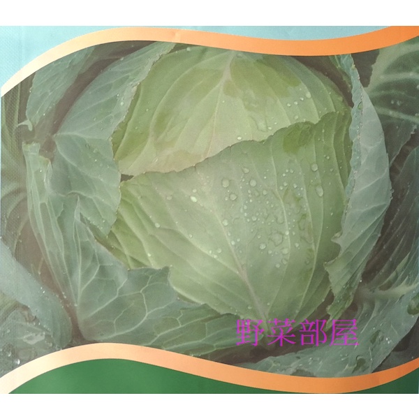 【萌田種子~】E27 新秋甘藍種子0.45公克 , 耐熱高麗菜 , 口感甜脆 , 每包16元 ~