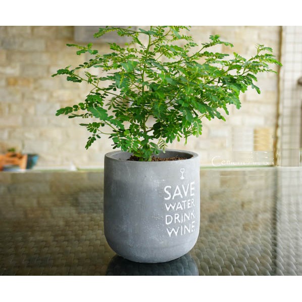 北歐英文浮雕水泥花盆 出貨不含圖片植物 蝦皮購物