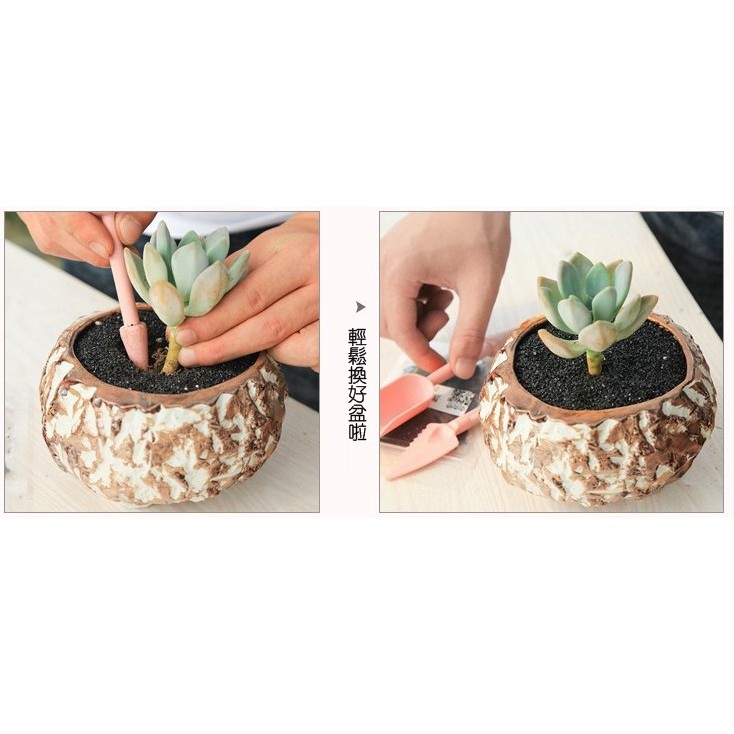 519uncle 多肉植物 日式起苗器二入組 打孔器 移苗器 微景觀擺件植物配件盆栽公仔拍攝道具換盆工具 蝦皮購物