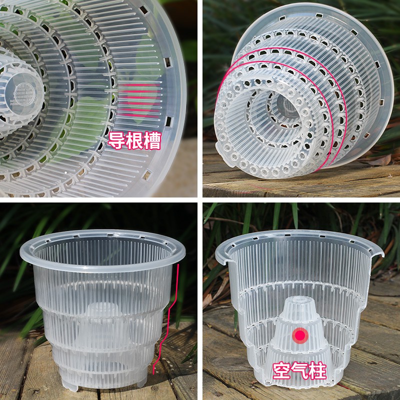 花盆 透明蝴蝶蘭控根花盆透氣洋蘭專用盆大號塑料樹脂家用石斛花盆 蝦皮購物