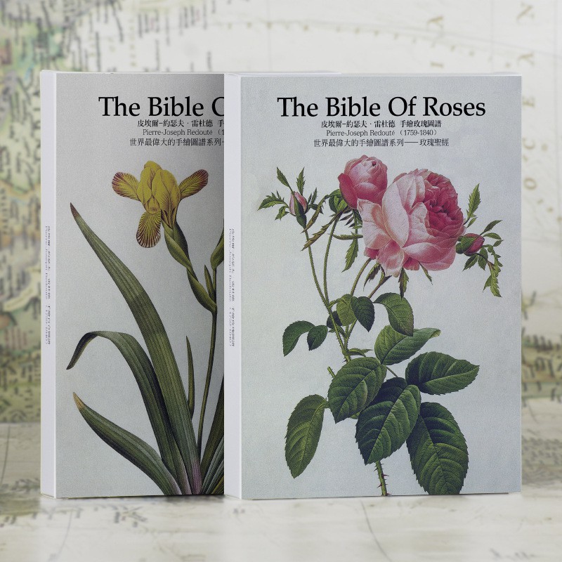 *達芬奇海報館* 偉大的手繪植物圖譜《玫瑰》 明信片/卡片盒裝 32張超大尺寸