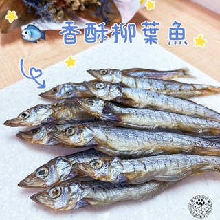 <<Wu House>>新鮮現烘手工柳葉魚🐟/寵物零食/香酥柳葉魚/貓狗零食