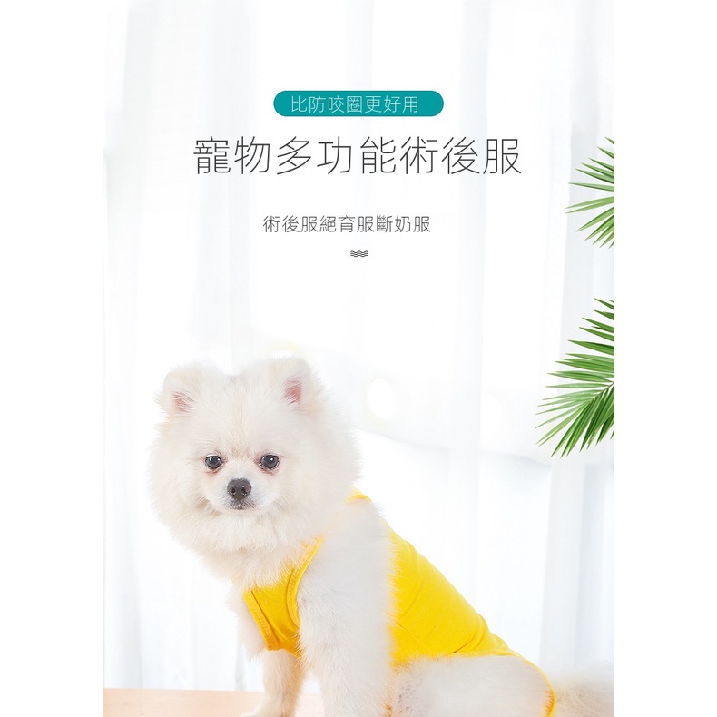 高仿錶 Dodo 貓咪節育服 透氣彈力魔鬼氈貓咪防舔衣 貓咪結紮衣服 貓咪術後衣服 寵物防舔衣 貓咪防舔 防感染 I Ads Keyword 優惠推薦