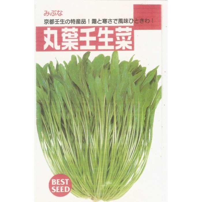 【蔬菜種子S145】丸葉壬生菜~~日本京都特產，口感相當好，全年皆可播種