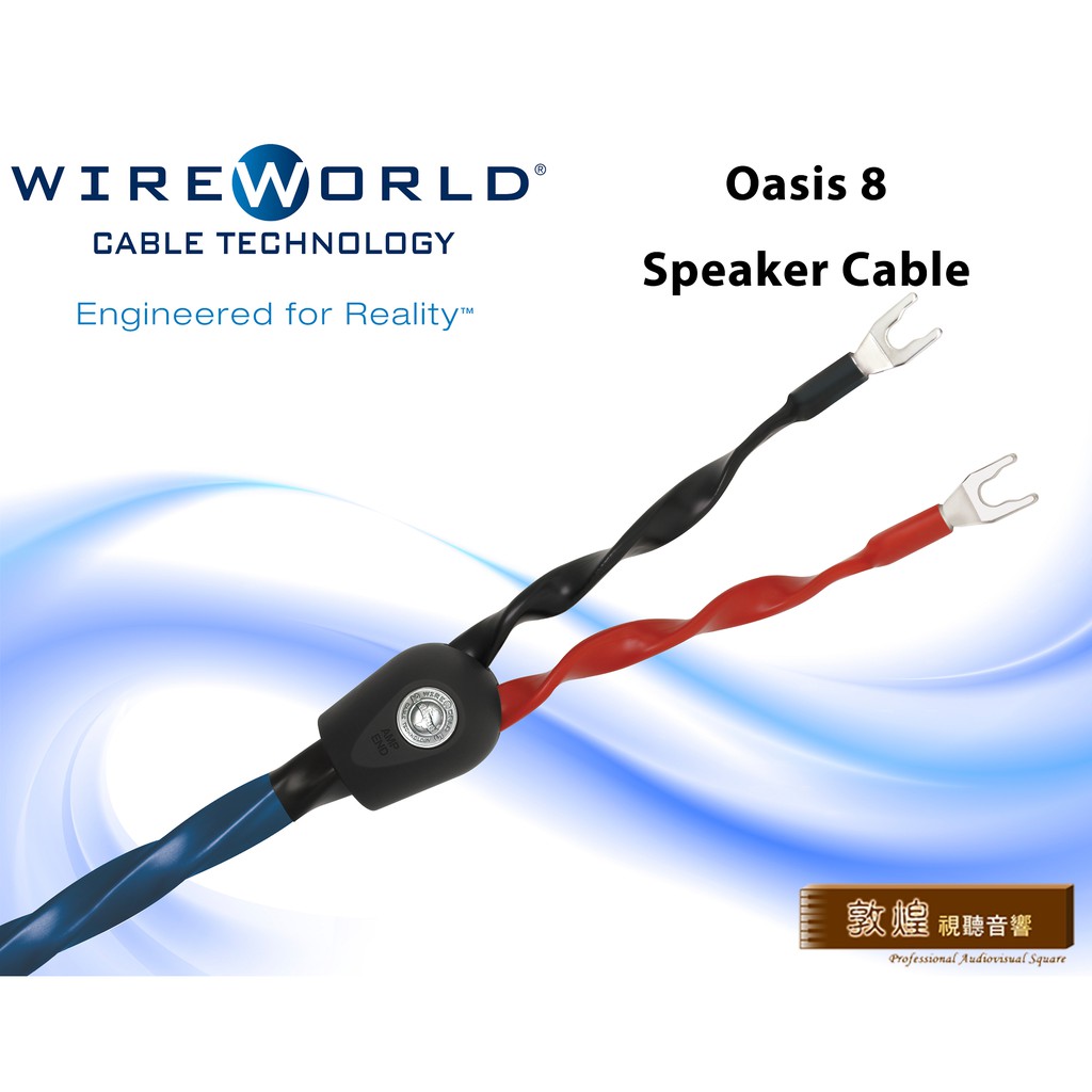 【敦煌音響 x WireWorld】Oasis 8 喇叭線 Bi-Wire喇叭線 🎁獨家贈送煲線 聊聊有驚喜🎁