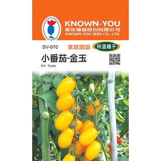 《農友種苗》特選蔬果種子 SV-070小番茄-金玉