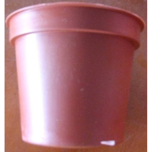 四季園 3.5吋紅盆 10個/組 塑膠盆 小品盆 紅色花盆口徑11 高:9 底徑：7.5(公分)
