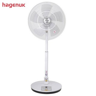 HAGENUK 哈根諾克 16吋微電腦搖控DC直流馬達電風扇 五片扇葉 HGN-168DC 臺灣製造【雅光電器商城】