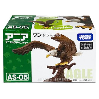 【免運 3C小苑】AN13959 正版 日本 多美 AS-05 老鷹 探索動物 多美動物 可動 動物 模型 禮物