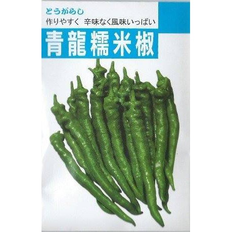 青龍糯米椒種子60粒50元