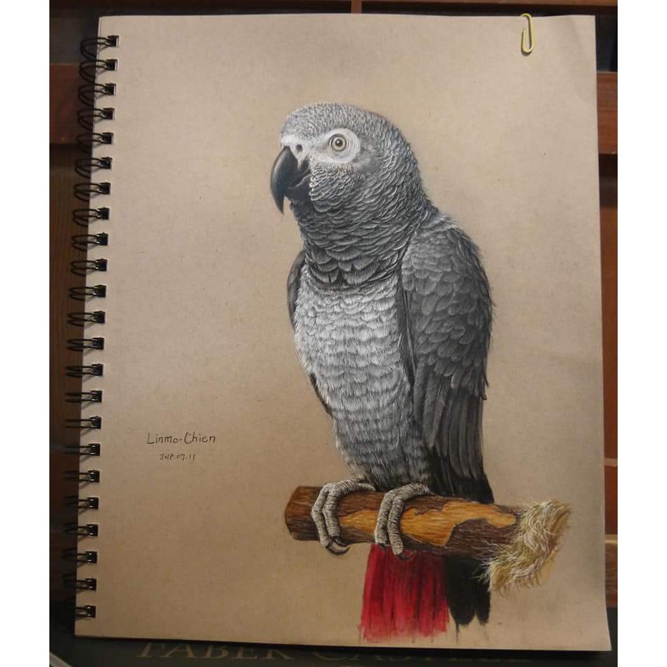 寵物肖像 水彩 色鉛筆訂製 動物畫成品16開 八開收藏附原創證明shopping 購庫站 蝦皮購物