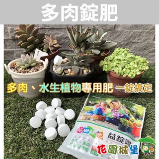益錠讚錠劑長效肥料 21 7 14 1 2mgo 多肉專用錠狀肥料100公克 包 蝦皮購物