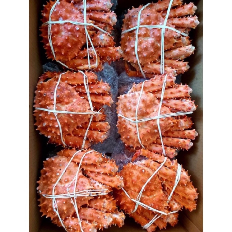 大帝王蟹 1.4/1.5kg智利帝王蟹±10%熟凍帝王蟹