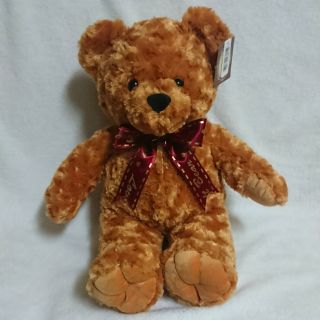 玫瑰絨手掌熊 深棕色 熊熊 娃娃 抱枕 玩偶 全新 無瑕疵 12英吋 含吊牌 可議價