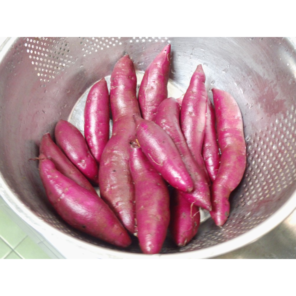 日本紫心地瓜-店到店專用單-限重7斤-芋仔蕃薯-紫色地瓜，小量銷售，無法批發，敬請見諒