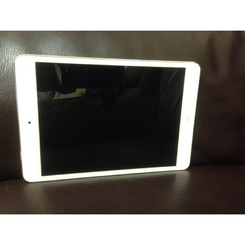 Apple iPad mini 2 (WiFi, 16GB)