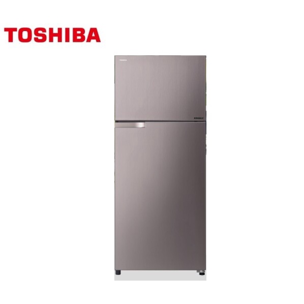 聊聊有優惠~ 【TOSHIBA 東芝】510公升 雙門 變頻冰箱 GR-A55TBZ(N)