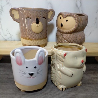 ❤️心花開心樂園❤️【超可愛動物造型陶瓷盆】 兔子/無尾熊/貓頭鷹/刺蝟 立體感設計 療癒盆器