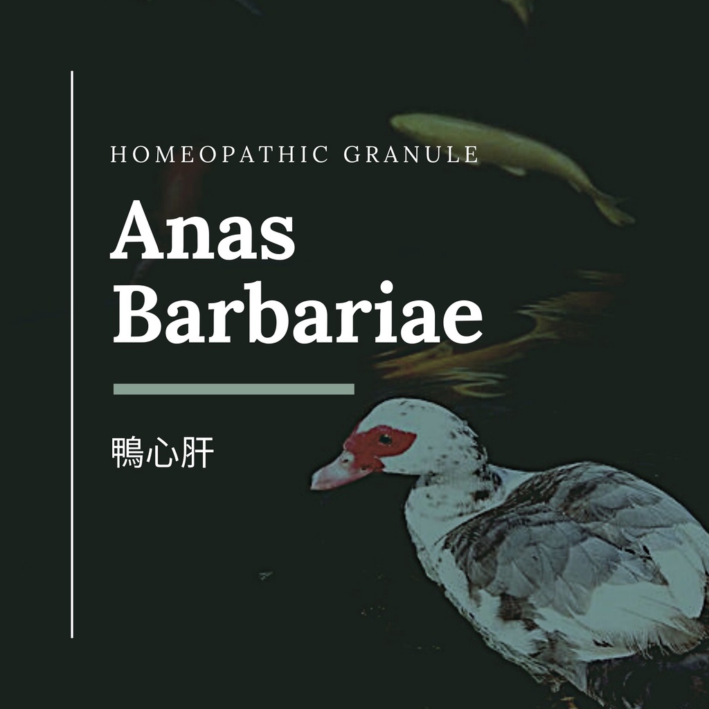 順勢糖球【Anas Barbariae鴨心肝】Homeopathic Granule 9克 食在自在心空間