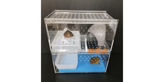 金金水族爬蟲用品閻曉貞 線上商店 蝦皮購物