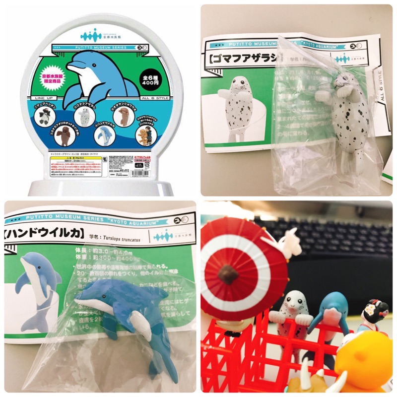 京都水族館 優惠推薦 21年7月 蝦皮購物台灣