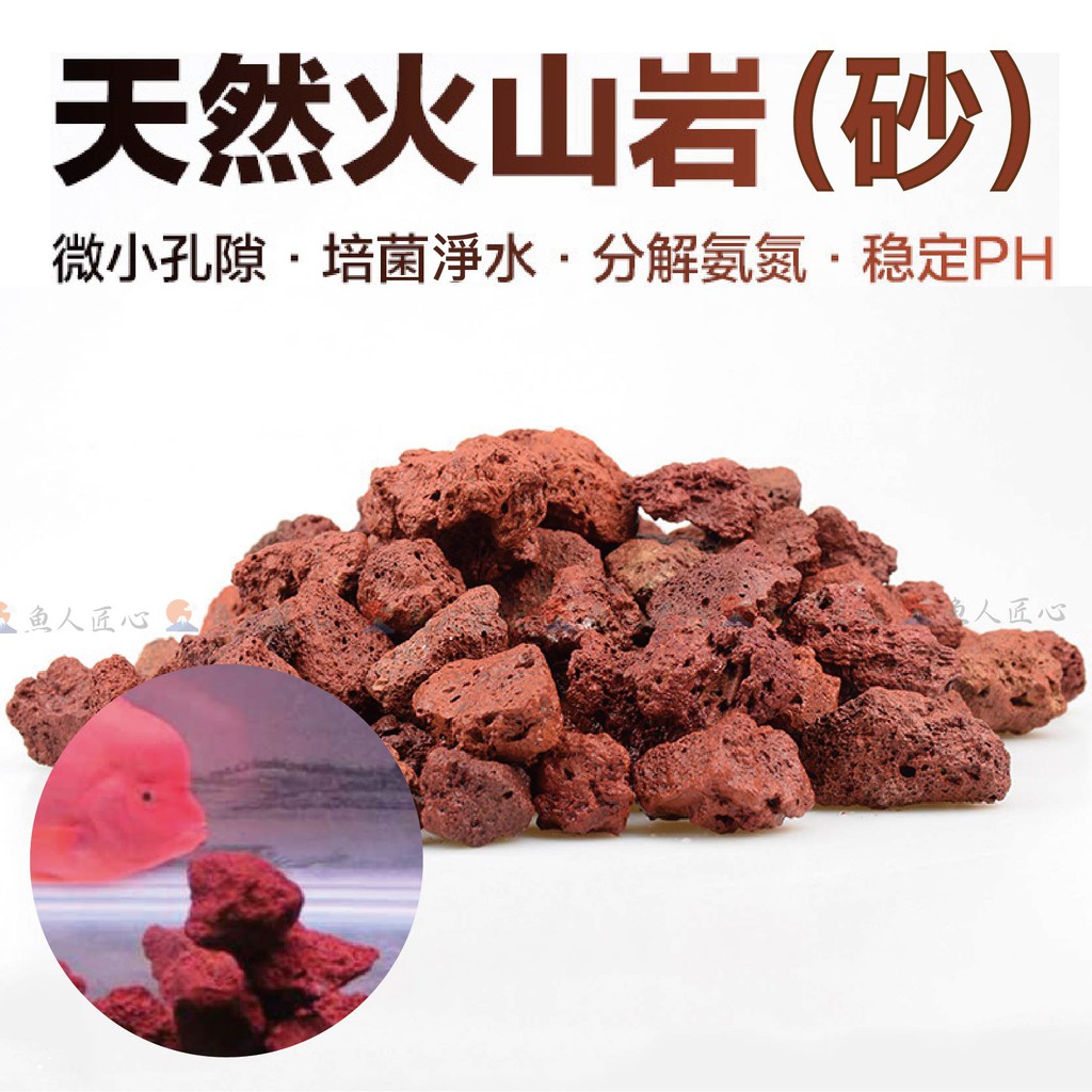 火山岩砂 拍賣 評價與ptt熱推商品 21年3月 飛比價格