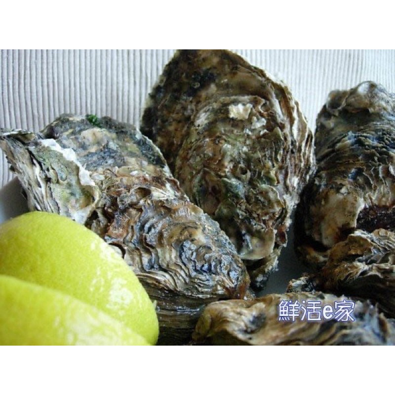 將軍漁港-鮮活e家🦪帶殼生蠔、牡蠣、鮮蚵（含運費）溯源水產品