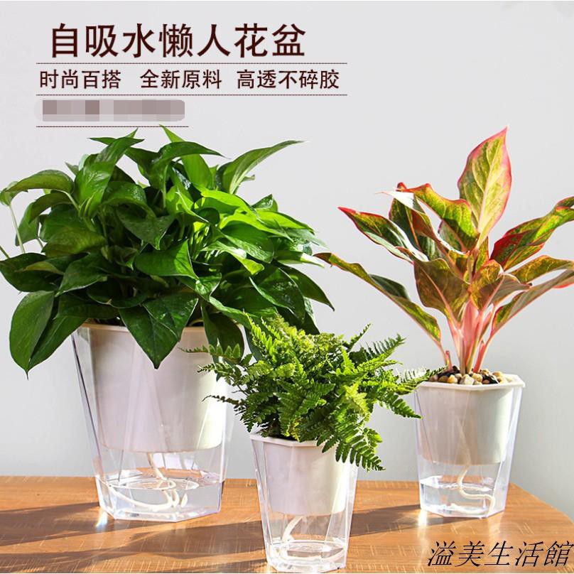 全館免運 塑膠懶人花盆 菱形透明花盆 盆栽菱形透明加厚塑膠懶人花盆自吸水免澆水綠蘿盆栽北歐創意家用 1溢美 蝦皮購物
