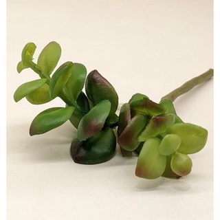 模擬迷你多肉植物/居家裝飾擺設 模擬多肉迷你翡翠木