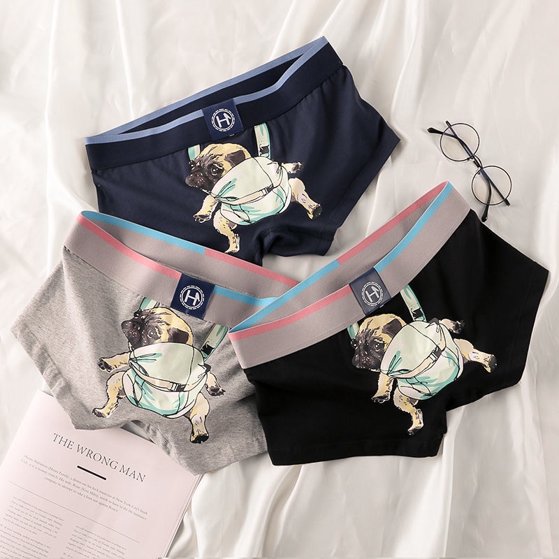 骨粉 Ptt Dcard討論與高評價網拍商品 21年9月 飛比價格