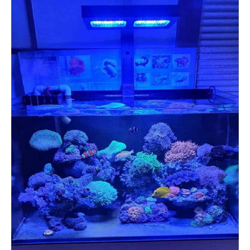魚樂城水族精品 手機app控制 10通道設計 魔神海水燈旗艦級led海水燈具 日出日落控制 美國cree顆粒 蝦皮購物