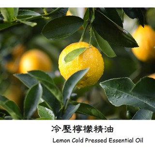 【muco】英國冷壓檸檬精油 Lemon Cold Pressed Essential Oil 檸檬精油