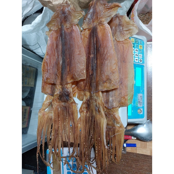 阿根廷魷魚乾   魷魚乾