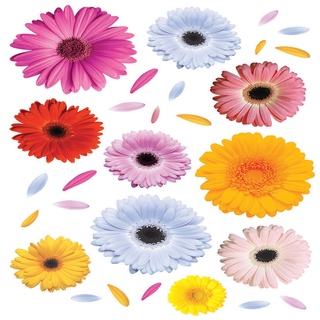 義大利進口HOME DECOR 牆壁貼飾 70cmX100cm 花瓣(C57104)