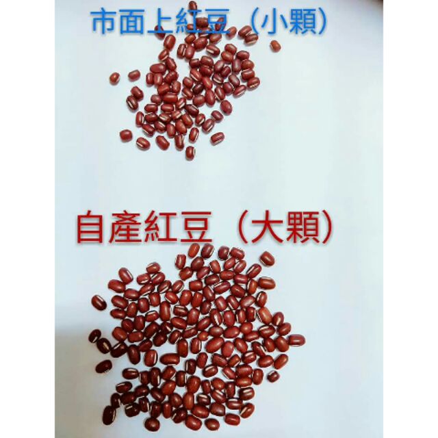 台灣紅豆●自產自銷●九號大顆紅豆●小資族
