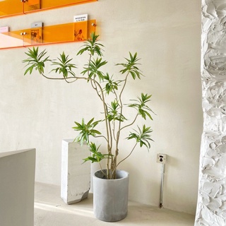 🌸宅配免運費🌸北歐ins仿真綠色植物 超美百合竹大型落地室內客廳擺件櫥窗裝飾盆栽假植物