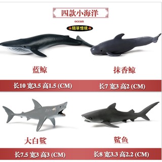 （4款小號）模擬 藍鯨 抹香鯨 大白鯊 鯊魚 4款海洋動物 海洋生物 模型 野生動物 兒童玩具 益智 SPG