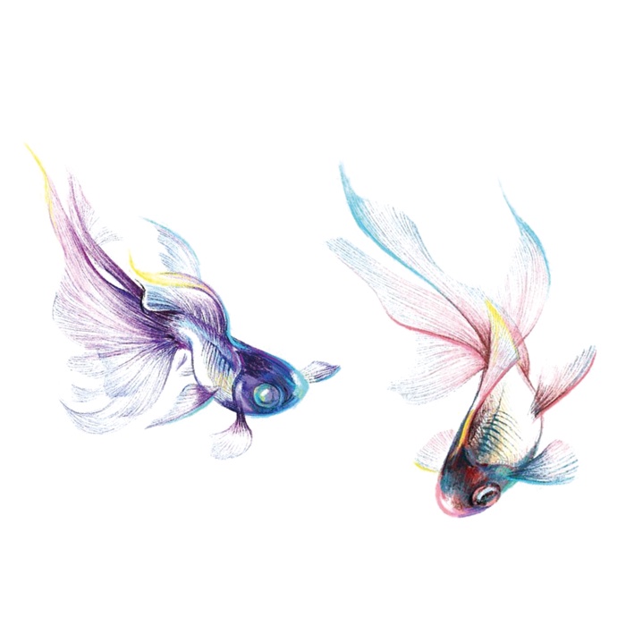 潮品小舖 Cs64 性感唯美紋身貼紙七彩魚金魚鬥魚紋身貼刺青貼紙 蝦皮購物