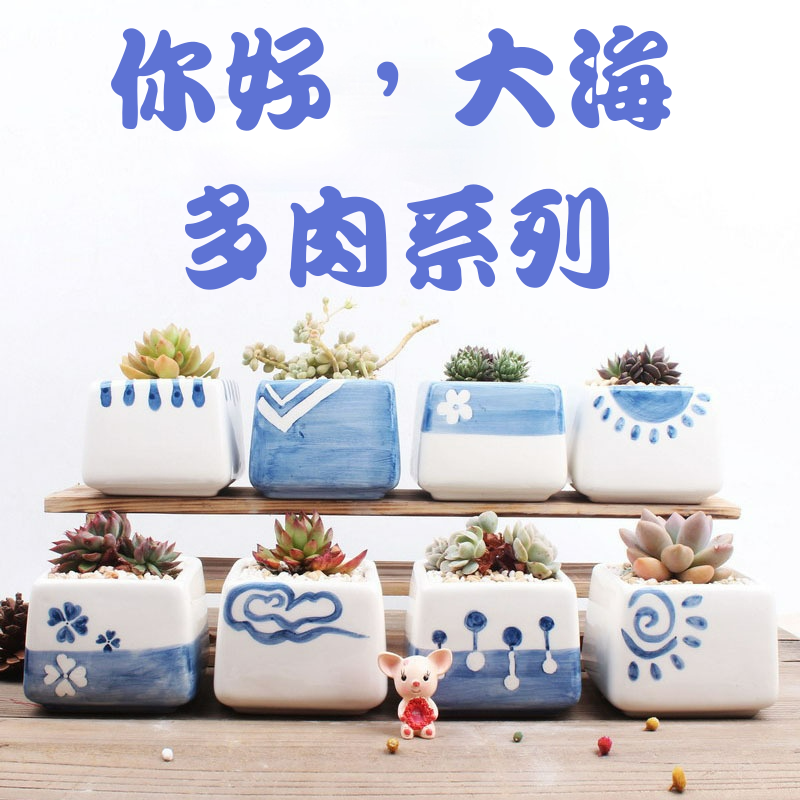 現貨 日式盆栽容器小花盆多肉花盆陶瓷花盆白色藍色盆器陶瓷盆多肉花器造型花盆園藝花器水泥花盆 蝦皮購物