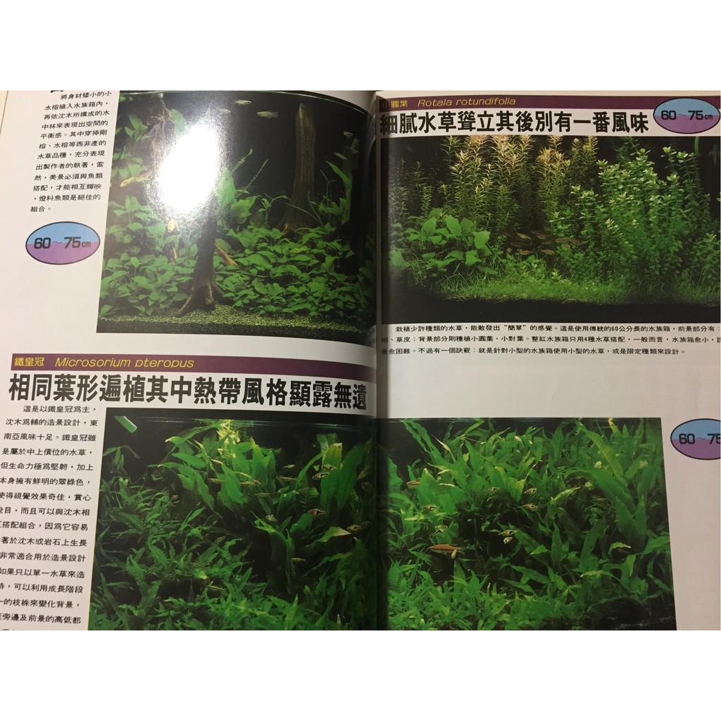 二手書 水草造景特輯 水草造景鑑賞彩色珍藏版觀賞魚大百科系列26 蝦皮購物