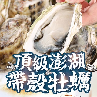 愛上生鮮 頂級澎湖帶殼牡蠣3/4/6包組(600g/包) 口感滑嫩 營養價值 現貨 廠商直送