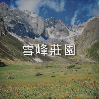 【裡德咖啡】哥倫比亞 雪峰莊園 水洗 中烘焙 咖啡豆 咖啡粉 濾掛咖啡