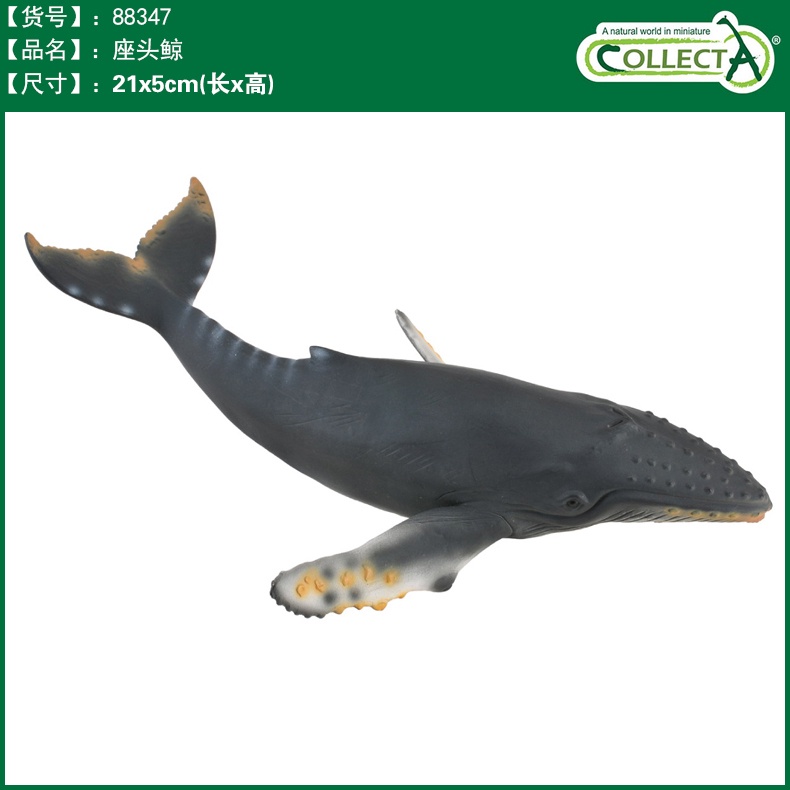 CollectA 英國高擬真模型 帝王蟹 座頭鯨 藍鯨 龍蝦 海洋動物模型 公仔