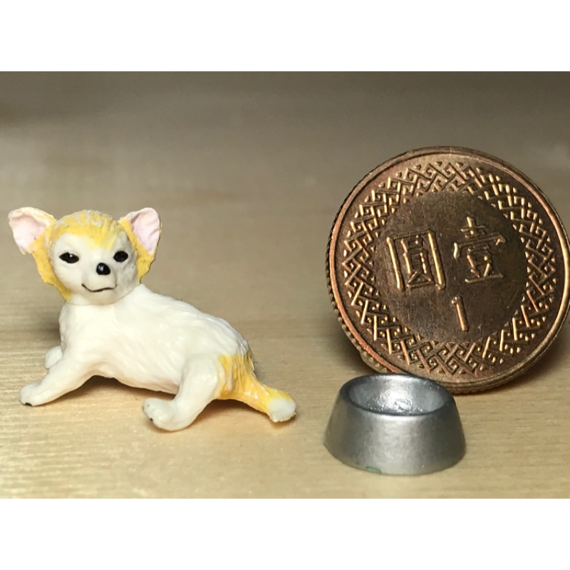 A#235「櫻田門」吉娃娃 小狗 小狗模型 扭蛋 轉蛋 盒玩 塑膠材質