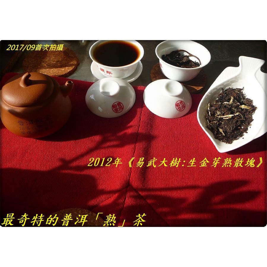 【最奇特的普洱熟茶】2012年《易武大樹生金芽熟散塊》：開創者的「金光」